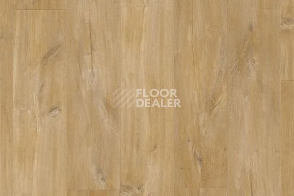 Плитка ПВХ Quick Step Livyn Balance Click Дуб каньон натуральный BACL40039 фото 1 | FLOORDEALER